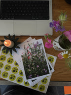 UK 'Petals Post' Snail Mail Subscription