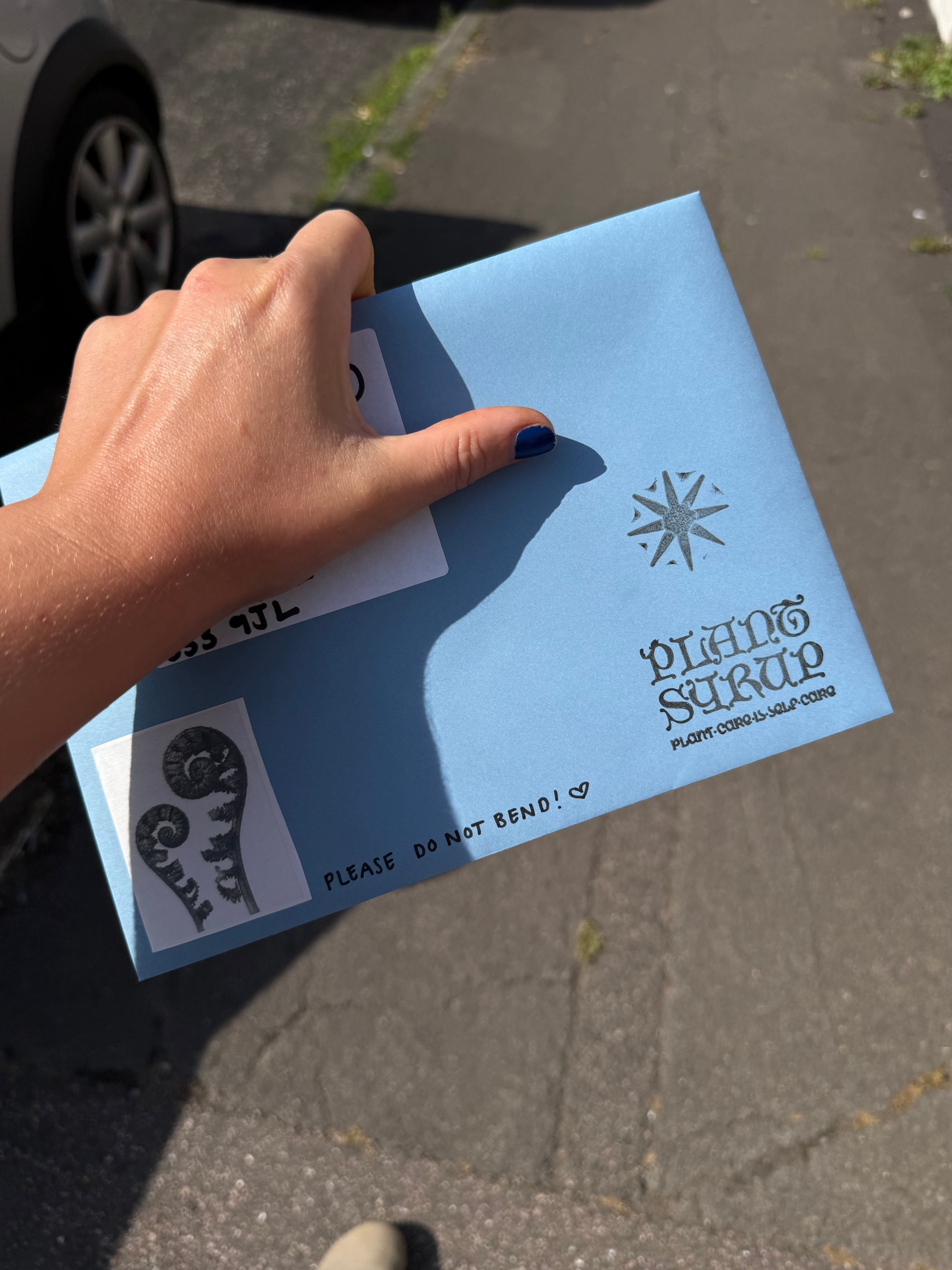 UK 'Petals Post' Snail Mail Subscription
