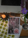 International 'Petals Post' Snail Mail Subscription