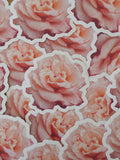 Rose In Bloom Sticker