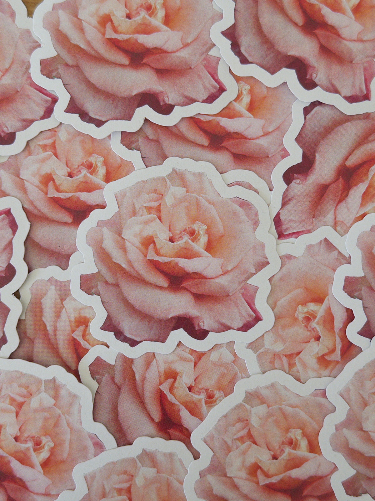 Rose In Bloom Sticker