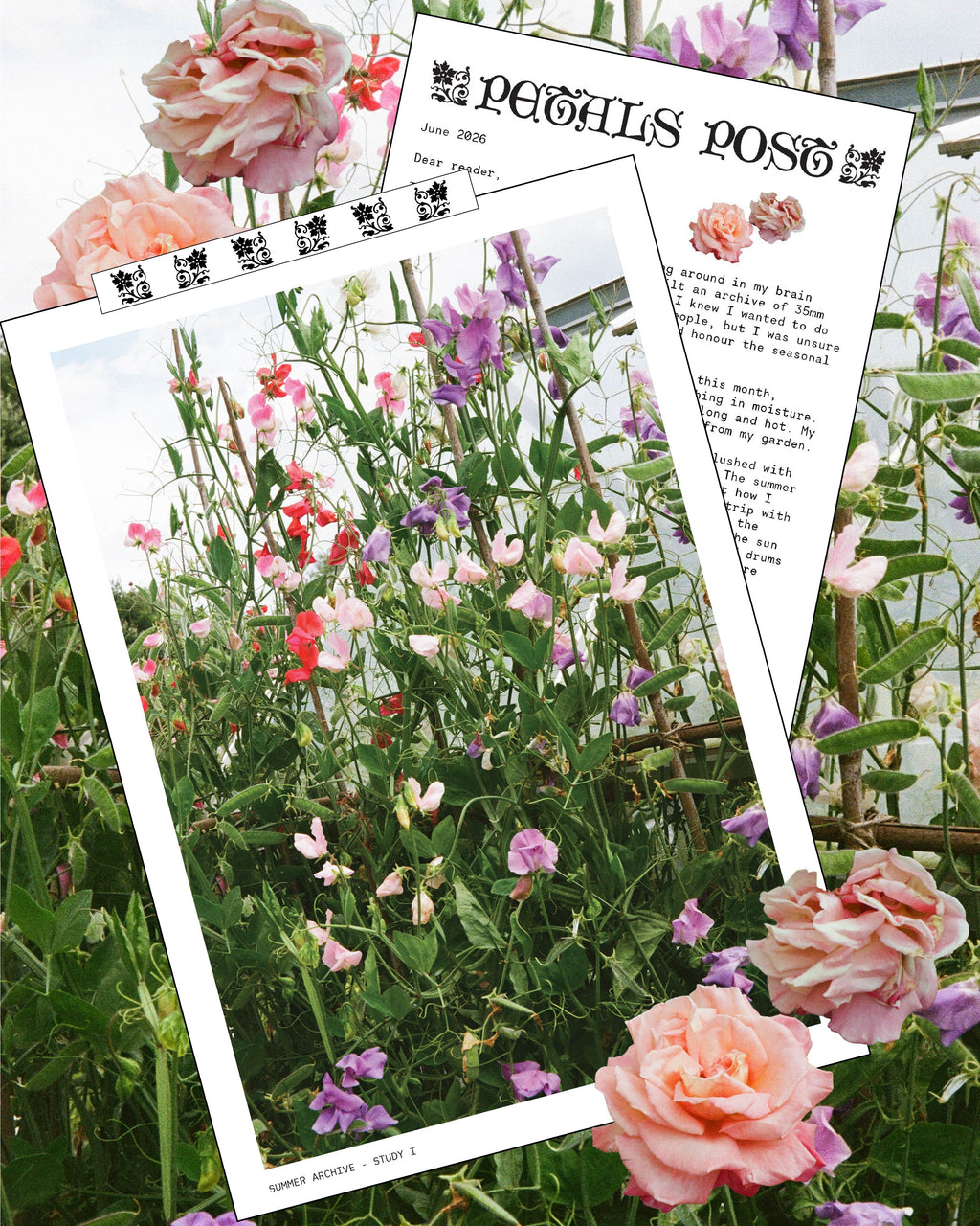 UK 'Petals Post' Snail Mail Subscription