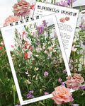 UK 'Petals Post' Snail Mail Subscription